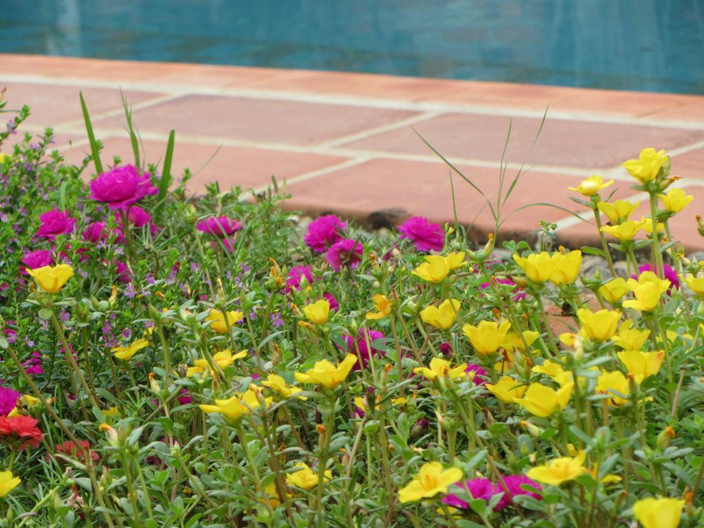 La Colorada Bed & Breakfast Zacualpan Dış mekan fotoğraf