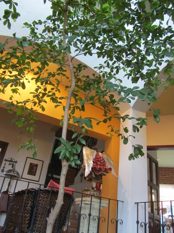 La Colorada Bed & Breakfast Zacualpan Dış mekan fotoğraf