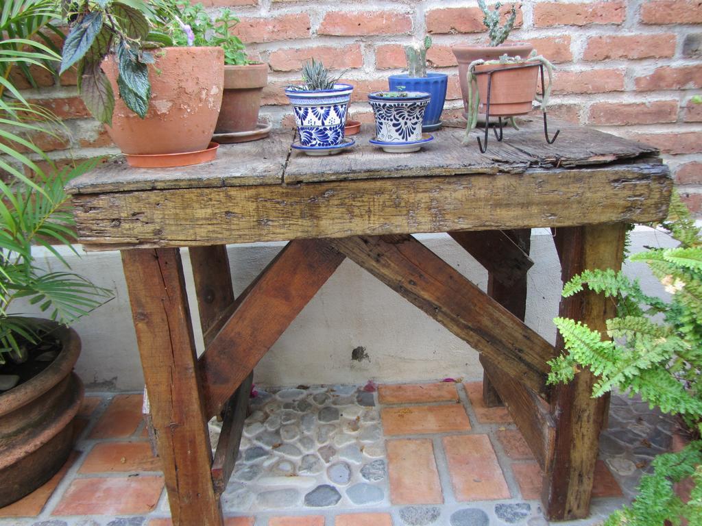 La Colorada Bed & Breakfast Zacualpan Dış mekan fotoğraf