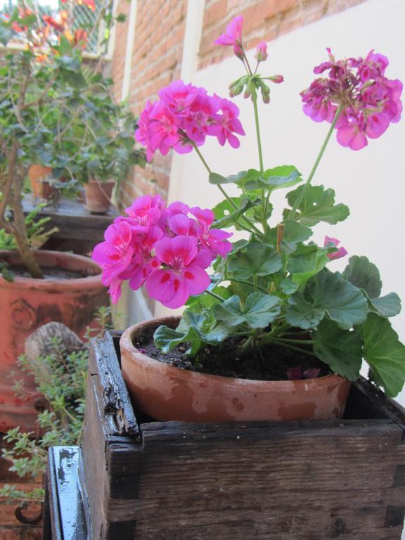 La Colorada Bed & Breakfast Zacualpan Dış mekan fotoğraf